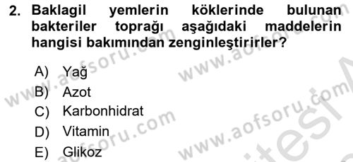 Temel Yem Bilgisi ve Hayvan Besleme Dersi 2019 - 2020 Yılı (Vize) Ara Sınavı 2. Soru