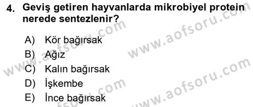 Temel Yem Bilgisi ve Hayvan Besleme Dersi 2019 - 2020 Yılı (Vize) Ara Sınavı 4. Soru