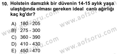 Temel Yem Bilgisi ve Hayvan Besleme Dersi 2019 - 2020 Yılı (Final) Dönem Sonu Sınavı 10. Soru