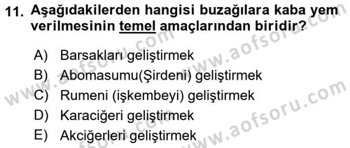 Temel Yem Bilgisi ve Hayvan Besleme Dersi 2019 - 2020 Yılı (Final) Dönem Sonu Sınavı 11. Soru