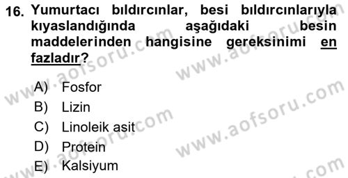 Temel Yem Bilgisi ve Hayvan Besleme Dersi 2019 - 2020 Yılı (Final) Dönem Sonu Sınavı 16. Soru