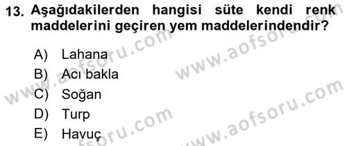 Temel Yem Bilgisi ve Hayvan Besleme Dersi 2020 - 2021 Yılı Yaz Okulu Sınavı 13. Soru