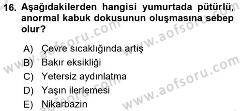 Temel Yem Bilgisi ve Hayvan Besleme Dersi 2020 - 2021 Yılı Yaz Okulu Sınavı 16. Soru