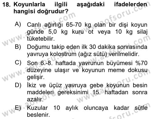 Temel Yem Bilgisi ve Hayvan Besleme Dersi 2020 - 2021 Yılı Yaz Okulu Sınavı 18. Soru