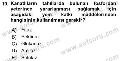 Temel Yem Bilgisi ve Hayvan Besleme Dersi 2021 - 2022 Yılı (Vize) Ara Sınavı 19. Soru