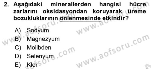 Temel Yem Bilgisi ve Hayvan Besleme Dersi 2021 - 2022 Yılı (Vize) Ara Sınavı 2. Soru