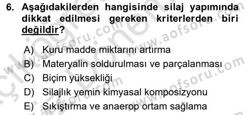 Temel Yem Bilgisi ve Hayvan Besleme Dersi 2021 - 2022 Yılı (Vize) Ara Sınavı 6. Soru