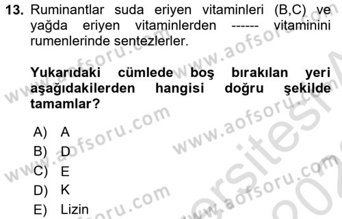 Temel Yem Bilgisi ve Hayvan Besleme Dersi 2021 - 2022 Yılı (Final) Dönem Sonu Sınavı 13. Soru