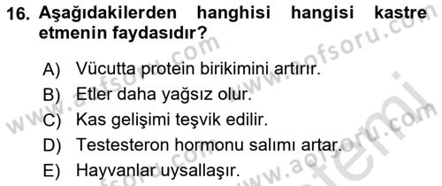 Temel Yem Bilgisi ve Hayvan Besleme Dersi 2021 - 2022 Yılı (Final) Dönem Sonu Sınavı 16. Soru