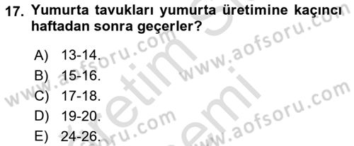 Temel Yem Bilgisi ve Hayvan Besleme Dersi 2021 - 2022 Yılı (Final) Dönem Sonu Sınavı 17. Soru