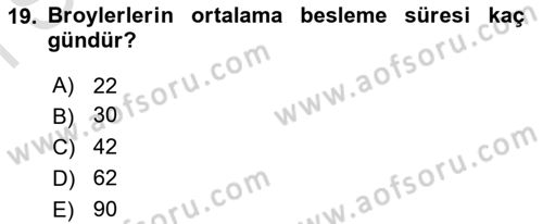 Temel Yem Bilgisi ve Hayvan Besleme Dersi 2021 - 2022 Yılı (Final) Dönem Sonu Sınavı 19. Soru