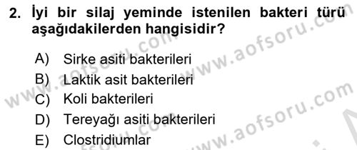 Temel Yem Bilgisi ve Hayvan Besleme Dersi 2021 - 2022 Yılı (Final) Dönem Sonu Sınavı 2. Soru