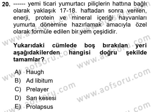 Temel Yem Bilgisi ve Hayvan Besleme Dersi 2021 - 2022 Yılı (Final) Dönem Sonu Sınavı 20. Soru