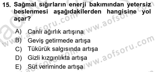 Temel Yem Bilgisi ve Hayvan Besleme Dersi 2021 - 2022 Yılı Yaz Okulu Sınavı 15. Soru