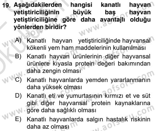 Temel Yem Bilgisi ve Hayvan Besleme Dersi 2021 - 2022 Yılı Yaz Okulu Sınavı 19. Soru