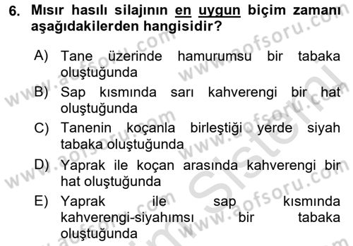 Temel Yem Bilgisi ve Hayvan Besleme Dersi 2021 - 2022 Yılı Yaz Okulu Sınavı 6. Soru