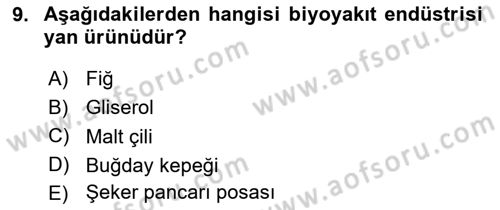 Temel Yem Bilgisi ve Hayvan Besleme Dersi 2021 - 2022 Yılı Yaz Okulu Sınavı 9. Soru