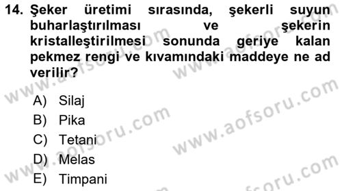 Temel Yem Bilgisi ve Hayvan Besleme Dersi 2022 - 2023 Yılı (Vize) Ara Sınavı 14. Soru