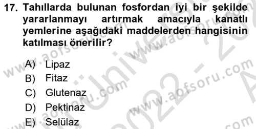 Temel Yem Bilgisi ve Hayvan Besleme Dersi 2022 - 2023 Yılı (Vize) Ara Sınavı 17. Soru