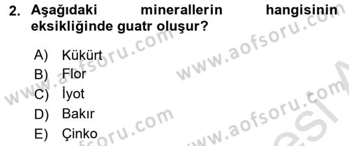 Temel Yem Bilgisi ve Hayvan Besleme Dersi 2022 - 2023 Yılı (Vize) Ara Sınavı 2. Soru