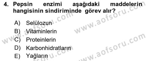 Temel Yem Bilgisi ve Hayvan Besleme Dersi 2022 - 2023 Yılı (Vize) Ara Sınavı 4. Soru