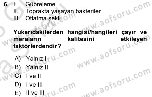 Temel Yem Bilgisi ve Hayvan Besleme Dersi 2022 - 2023 Yılı (Vize) Ara Sınavı 6. Soru