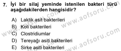 Temel Yem Bilgisi ve Hayvan Besleme Dersi 2022 - 2023 Yılı (Vize) Ara Sınavı 7. Soru