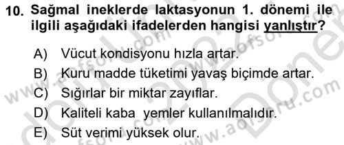 Temel Yem Bilgisi ve Hayvan Besleme Dersi 2022 - 2023 Yılı (Final) Dönem Sonu Sınavı 10. Soru