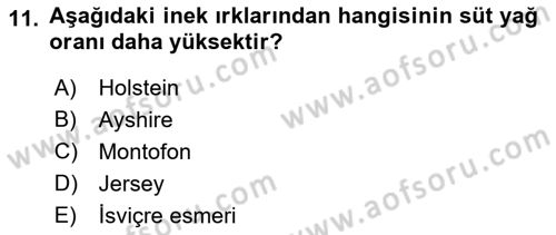 Temel Yem Bilgisi ve Hayvan Besleme Dersi 2022 - 2023 Yılı (Final) Dönem Sonu Sınavı 11. Soru