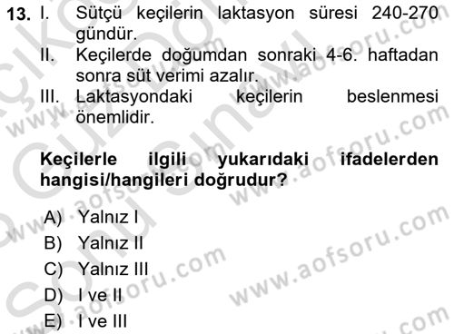 Temel Yem Bilgisi ve Hayvan Besleme Dersi 2022 - 2023 Yılı (Final) Dönem Sonu Sınavı 13. Soru