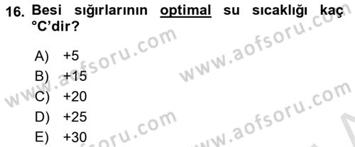 Temel Yem Bilgisi ve Hayvan Besleme Dersi 2022 - 2023 Yılı (Final) Dönem Sonu Sınavı 16. Soru