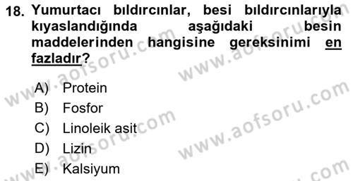 Temel Yem Bilgisi ve Hayvan Besleme Dersi 2022 - 2023 Yılı (Final) Dönem Sonu Sınavı 18. Soru