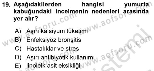 Temel Yem Bilgisi ve Hayvan Besleme Dersi 2022 - 2023 Yılı (Final) Dönem Sonu Sınavı 19. Soru