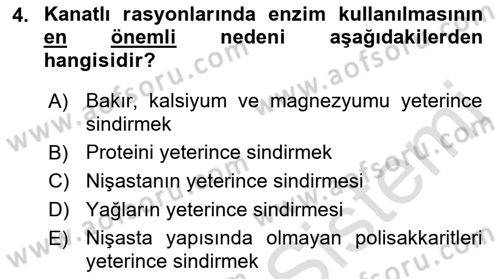 Temel Yem Bilgisi ve Hayvan Besleme Dersi 2022 - 2023 Yılı (Final) Dönem Sonu Sınavı 4. Soru