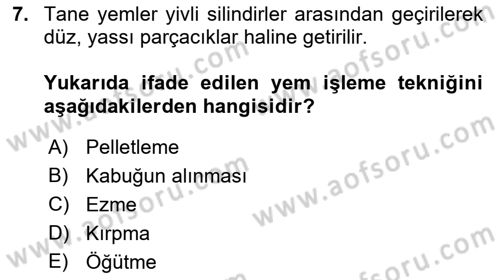 Temel Yem Bilgisi ve Hayvan Besleme Dersi 2022 - 2023 Yılı (Final) Dönem Sonu Sınavı 7. Soru