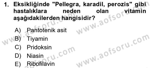 Temel Yem Bilgisi ve Hayvan Besleme Dersi 2022 - 2023 Yılı Yaz Okulu Sınavı 1. Soru