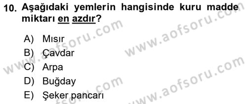 Temel Yem Bilgisi ve Hayvan Besleme Dersi 2022 - 2023 Yılı Yaz Okulu Sınavı 10. Soru