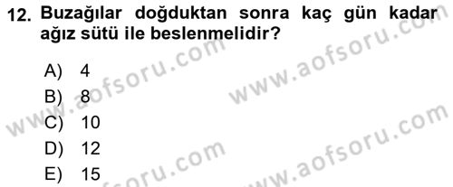 Temel Yem Bilgisi ve Hayvan Besleme Dersi 2022 - 2023 Yılı Yaz Okulu Sınavı 12. Soru