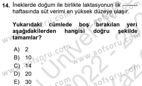 Temel Yem Bilgisi ve Hayvan Besleme Dersi 2022 - 2023 Yılı Yaz Okulu Sınavı 14. Soru