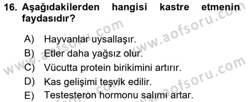 Temel Yem Bilgisi ve Hayvan Besleme Dersi 2022 - 2023 Yılı Yaz Okulu Sınavı 16. Soru