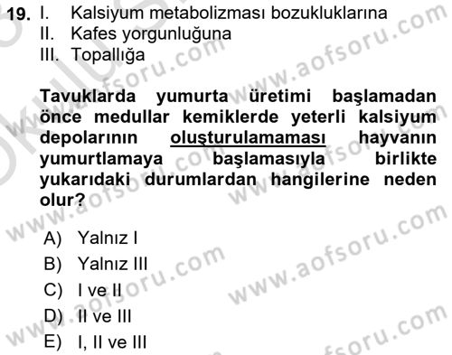 Temel Yem Bilgisi ve Hayvan Besleme Dersi 2022 - 2023 Yılı Yaz Okulu Sınavı 19. Soru