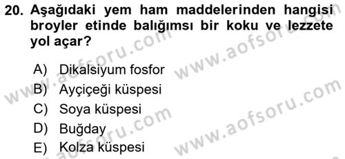 Temel Yem Bilgisi ve Hayvan Besleme Dersi 2022 - 2023 Yılı Yaz Okulu Sınavı 20. Soru