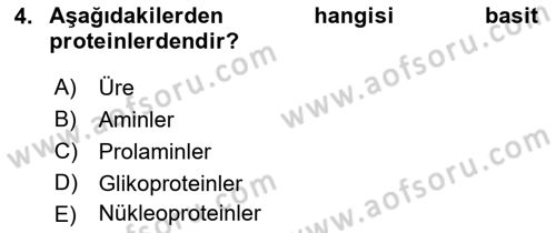 Temel Yem Bilgisi ve Hayvan Besleme Dersi 2023 - 2024 Yılı (Vize) Ara Sınavı 4. Soru