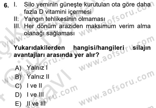 Temel Yem Bilgisi ve Hayvan Besleme Dersi 2023 - 2024 Yılı (Vize) Ara Sınavı 6. Soru