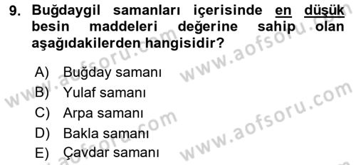 Temel Yem Bilgisi ve Hayvan Besleme Dersi 2023 - 2024 Yılı (Vize) Ara Sınavı 9. Soru