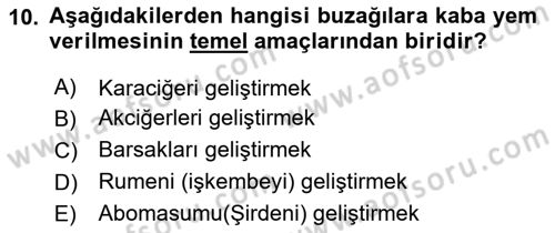 Temel Yem Bilgisi ve Hayvan Besleme Dersi 2023 - 2024 Yılı (Final) Dönem Sonu Sınavı 10. Soru