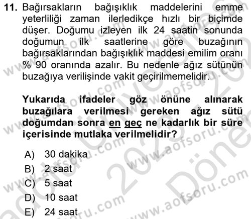 Temel Yem Bilgisi ve Hayvan Besleme Dersi 2023 - 2024 Yılı (Final) Dönem Sonu Sınavı 11. Soru