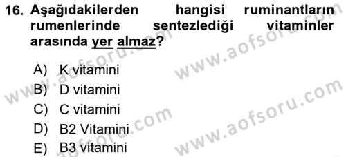 Temel Yem Bilgisi ve Hayvan Besleme Dersi 2023 - 2024 Yılı (Final) Dönem Sonu Sınavı 16. Soru