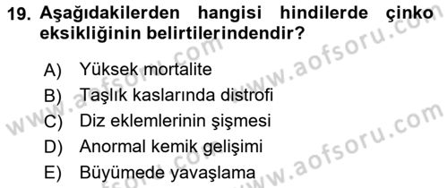 Temel Yem Bilgisi ve Hayvan Besleme Dersi 2023 - 2024 Yılı (Final) Dönem Sonu Sınavı 19. Soru