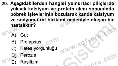 Temel Yem Bilgisi ve Hayvan Besleme Dersi 2023 - 2024 Yılı (Final) Dönem Sonu Sınavı 20. Soru